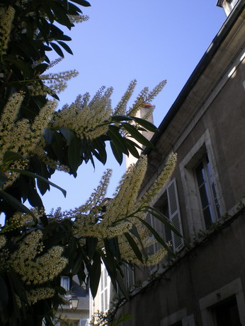 c0124619_4372311.jpg