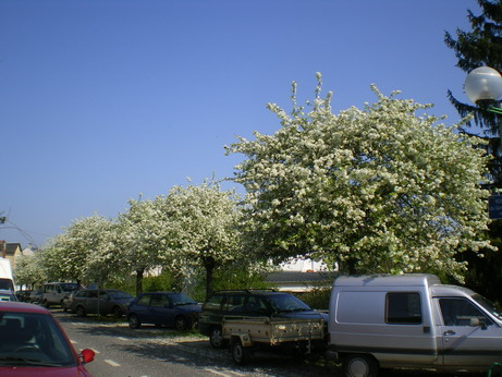 c0124619_4392277.jpg