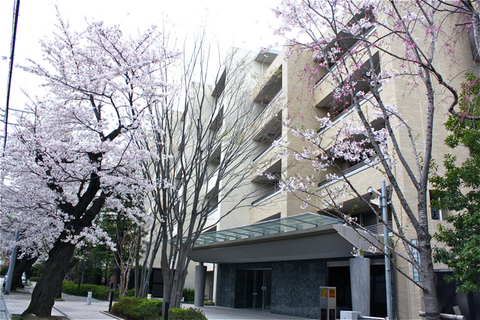 満開!_f0170519_15591632.jpg