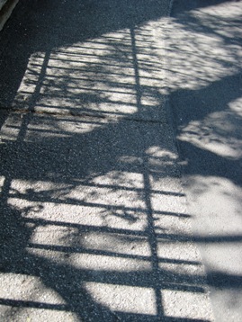 b0168823_1204969.jpg