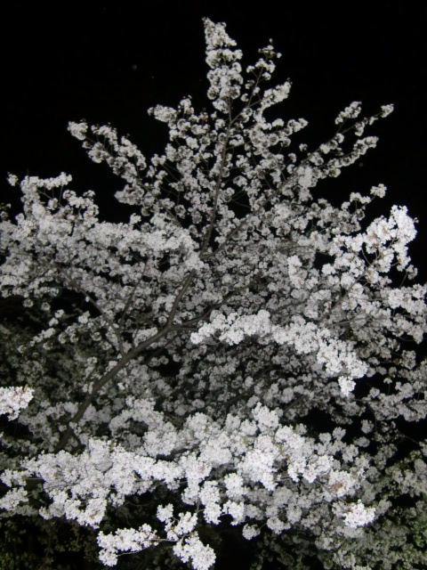 c0220724_21495496.jpg
