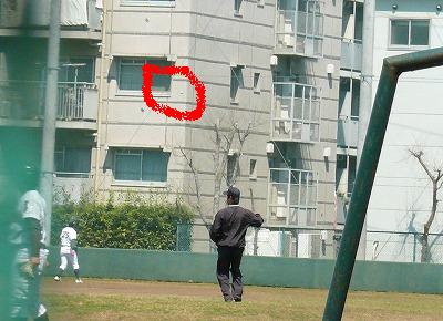 4月6日 東都大学野球2部 国士舘大対東農大 開幕_b0166128_10553452.jpg