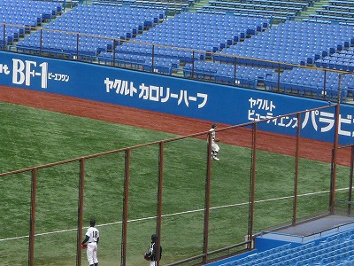 4月7日 東都大学野球 國學院大対亜細亜大_b0166128_16531077.jpg