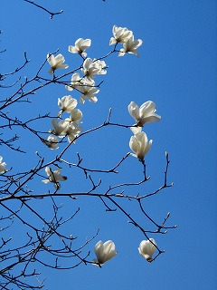 祈り_b0100229_1604756.jpg