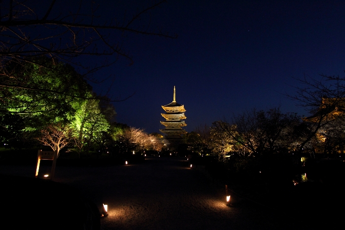 東寺 夜桜ライトアップ －被災地への祈りを込めて－（後編）_b0169330_048222.jpg