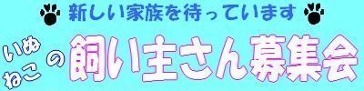 動物保護団体 パウズハート です_b0177130_0323994.jpg