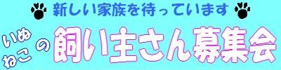 動物保護団体 パウズハート です_b0177130_0323994.jpg