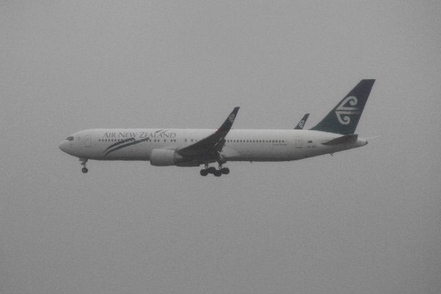 e0064133_822745.jpg