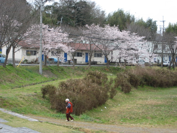 c0209334_11594443.jpg