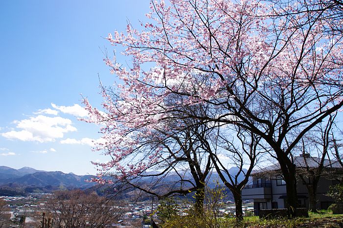 b0212342_10392772.jpg