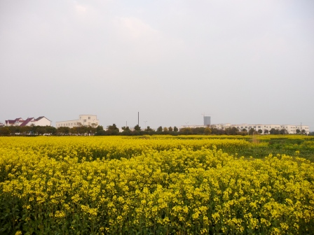 a0187943_2352541.jpg
