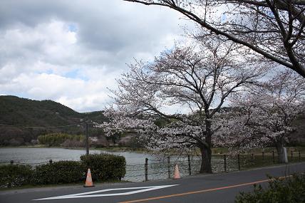 c0073649_1415775.jpg