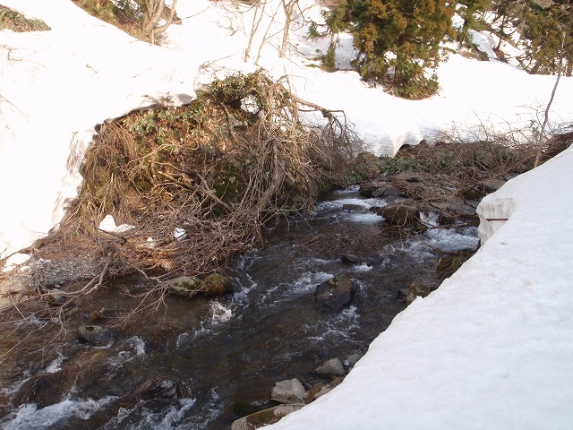 往きは良い良い、帰りは…リベンジの山は今度も？_c0097754_17403623.jpg