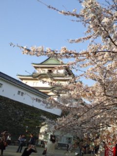 e0081959_1765176.jpg