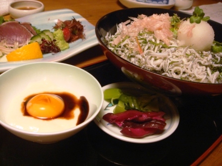 おいしいおもてなし 高知流_a0163160_23454215.jpg
