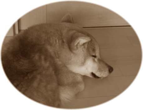 2011年4月9日(土)雨の日は・・・_f0060461_9342268.jpg