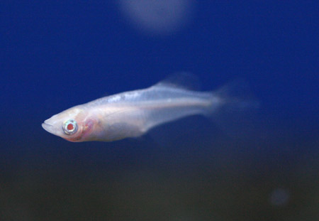 a0162263_1928435.jpg