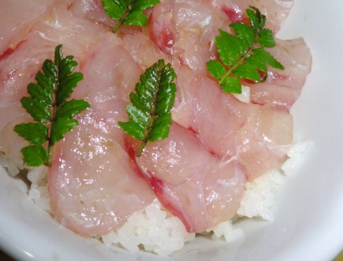 昆布茶で昆布〆め 鯛の桜寿司 幸せごっこ 昆布茶で昆布〆め 鯛の桜寿司 幸せごっこ