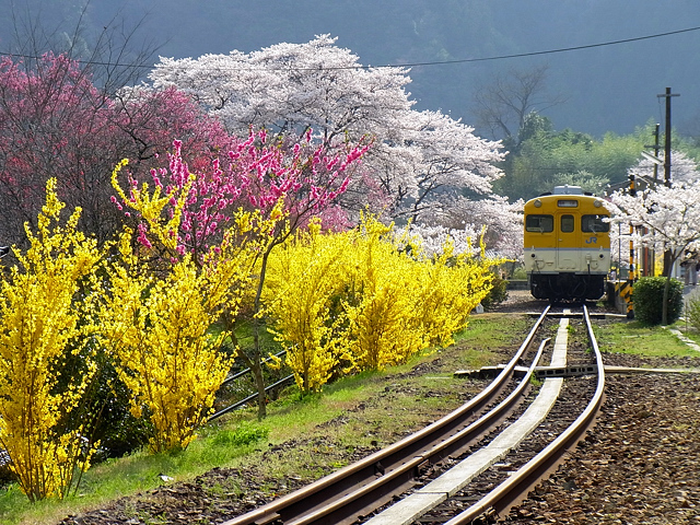 安野花の駅公園_c0139966_2040189.jpg