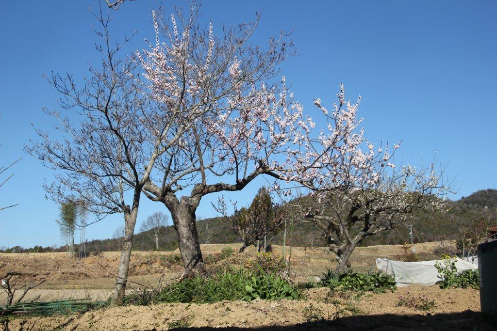 内海さんの写真より_c0006568_10343420.jpg