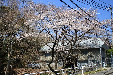 奈良　歴史の道 Ⅱ_f0014971_11253799.jpg