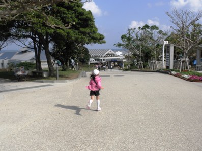 4/5　　沖縄旅行2日目　ちゅら海水族館_e0022374_11553180.jpg