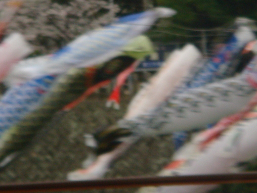 f0153479_22452029.jpg