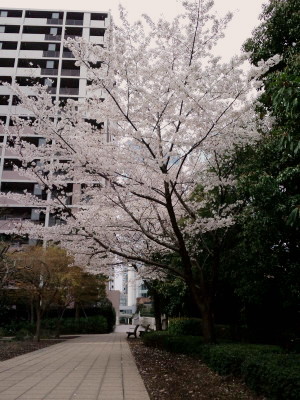 f0091785_23124480.jpg