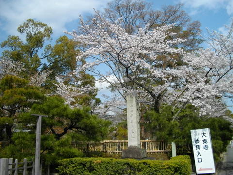 嵯峨嵐山にて_f0226287_20381134.jpg