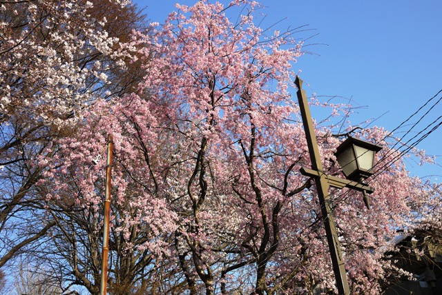 a0127090_23435651.jpg