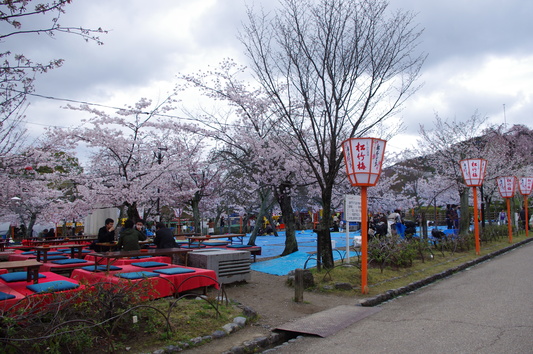 c0068891_17143427.jpg