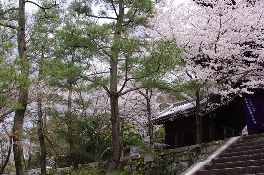 c0068891_17343422.jpg