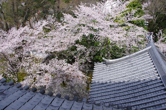 c0068891_1740736.jpg