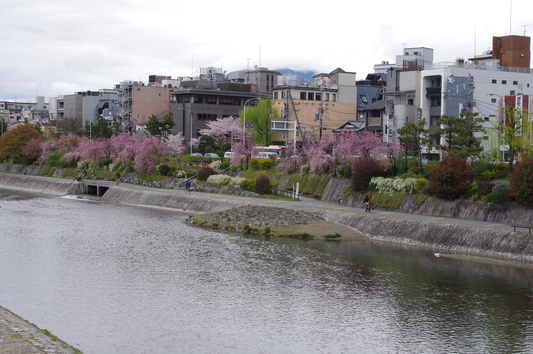 c0068891_174792.jpg