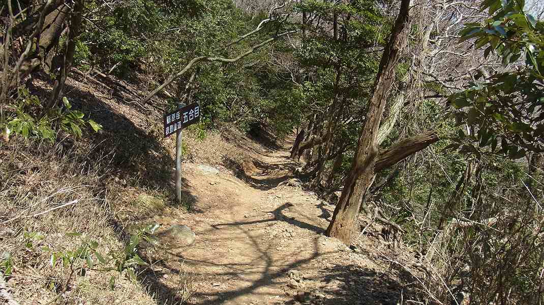 2011-4-6 今年初めての藤原岳　その４_a0152692_18483372.jpg