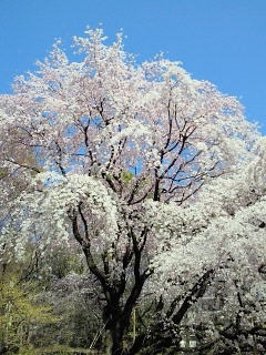 e0202296_8165812.jpg