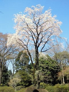 e0202296_818055.jpg
