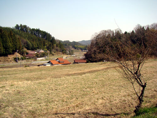 花見ドライブ_a0047200_22323593.jpg