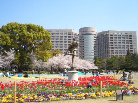 鶴舞公園　桜が満開_c0173201_14342480.jpg