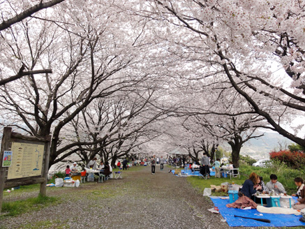 『四月の花は桜色_b0134902_17194837.jpg