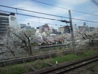 桜＠飯田橋〜市ヶ谷のお堀_d0134102_12594616.jpg