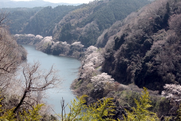 c0043403_22434895.jpg