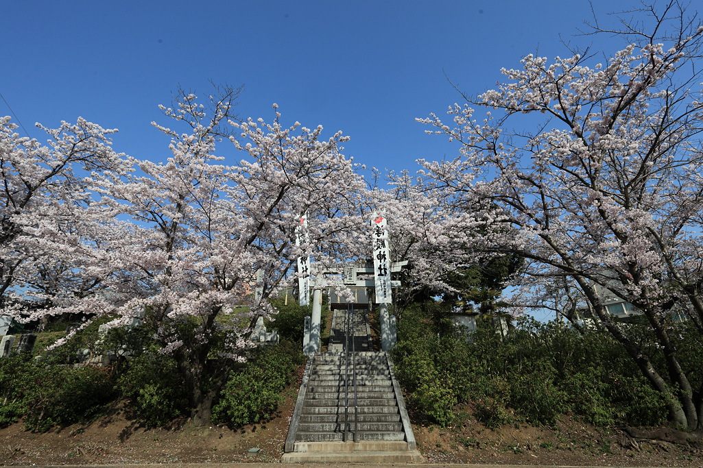 本日休日相談医です。_f0083903_1016436.jpg