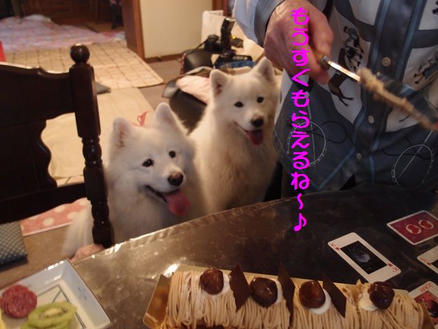e0018604_19213457.jpg