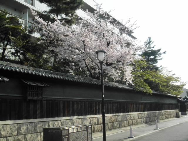 c0152507_831473.jpg