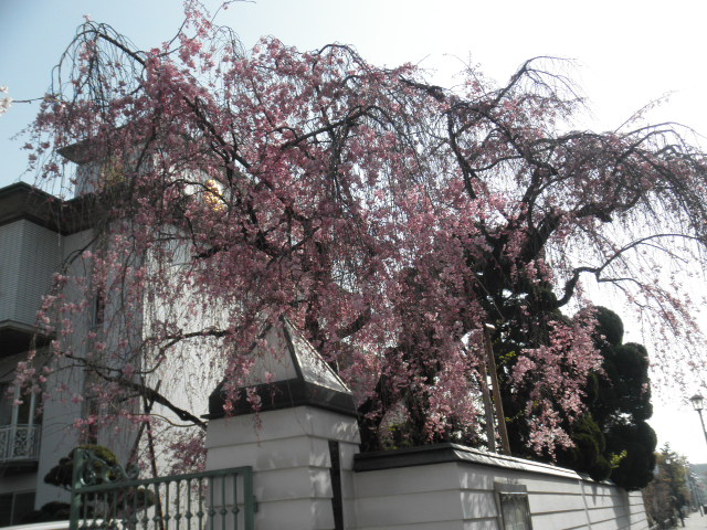 c0152507_833541.jpg