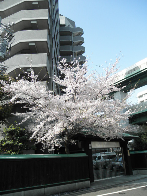 c0152507_8351080.jpg