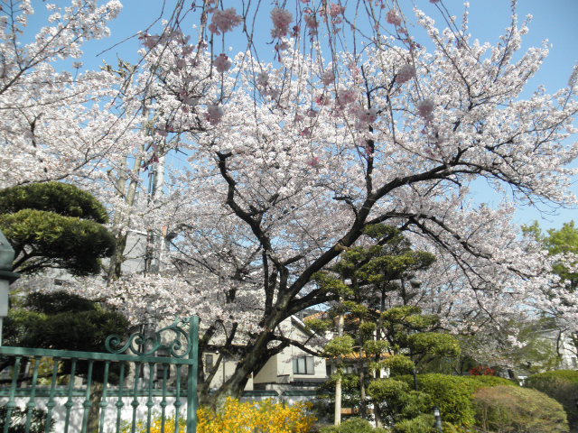 c0152507_837093.jpg
