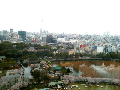 c0227407_1474998.jpg
