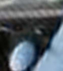 e0103408_61265.jpg